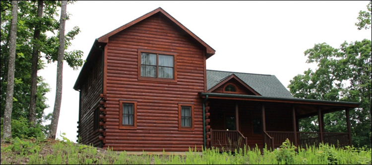 Professional Log Home Borate Application  Wilkinson County, Georgia